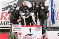 halloween-punk-rock-greyhound-race-czech-greyhound-racing-federation-NQ1M9264.JPG