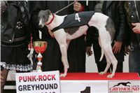 halloween-punk-rock-greyhound-race-czech-greyhound-racing-federation-NQ1M9274.JPG