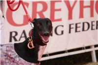 czech_greyhound_racing_federation_DSC09471.JPG