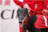 czech_greyhound_racing_federation_NQ1M0099.JPG