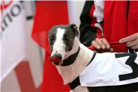 czech_greyhound_racing_federation_NQ1M0100.JPG