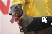 czech_greyhound_racing_federation_NQ1M0106.JPG