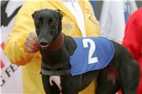 czech_greyhound_racing_federation_NQ1M9868.JPG