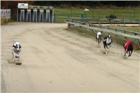 0040_dostihy_chrtů_PC_2010_Czech_Greyhound_Racing_Federation_DSC02785.JPG