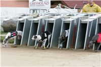 0029_dostihy_chrtů_PC_2010_Czech_Greyhound_Racing_Federation_NQ1M9977.JPG