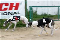 0031_dostihy_chrtů_PC_2010_Czech_Greyhound_Racing_Federation_NQ1M9983.JPG