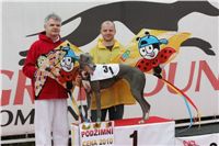 0043_dostihy_chrtů_PC_2010_Czech_Greyhound_Racing_Federation_NQ1M0008.JPG