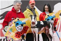 0079_dostihy_chrtů_PC_2010_Czech_Greyhound_Racing_Federation_NQ1M0017.JPG