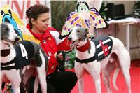 0080_dostihy_chrtů_PC_2010_Czech_Greyhound_Racing_Federation_NQ1M9967.JPG