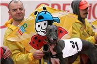 0089_dostihy_chrtů_PC_2010_Czech_Greyhound_Racing_Federation_NQ1M9964.JPG