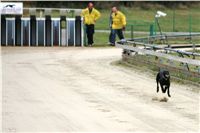 dostihy_chrtů_PC_2010_Czech_Greyhound_Racing_Federation_NQ1M0270.JPG