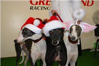 Mikulas_greyhound_race_2008_DSC07245.JPG