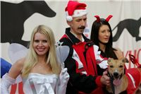 Mikulas_greyhound_race_2009_2_Lemon-Moet_Ceska_Greyhound_Dostihova_Federace.JPG