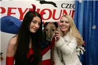 Mikulas_greyhound_race_2009_Swift-NQ1M0891.JPG