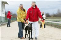 dostihy_chrtu_PC_2010_Czech_Greyhound_Racing_Federation_NQ1M0362.jpg