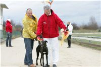 dostihy_chrtů_PC_2010_Czech_Greyhound_Racing_Federation_NQ1M0360.JPG