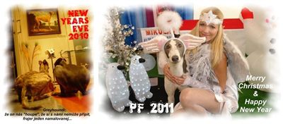 PF_2011_Czech_Greyhound_racing_federation_Happy_New_Year_DSC04015-bordura.jpg