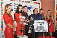 Zlaty_chrt_-Vitez_Lijane_fs_0188_Ceska_greyhound_dostihova_federace.jpg