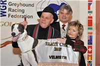 Zlaty_chrt_Velmistr_Cayenn_Preucil_fs_0275_Ceska_greyhound_dostihova_federace.jpg