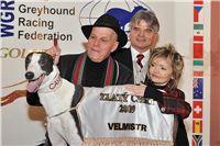 Zlaty_chrt_Velmistr_Cayenn_Preucil_fs_0275_Ceska_greyhound_dostihova_federace.jpg