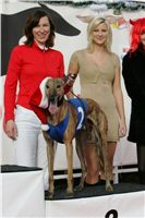 Mikulas_Greyhound_race_2009-Swift_NQ1M0534.JPG