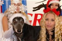 Mikulas_Greyhound_race_2010_chrti_dostihy_Ceske_greyhound_dostihove_federace_DSC03766.jpg