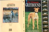 The_Ultimate_Greyhound_DSC04299.jpg