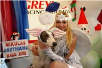 Mikulas_Greyhound_race_2010_chrti_dostihy_Ceske_greyhound_dostihove_federace_DSC03999.JPG