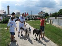 Greyhound_Race_Track_Praskacka_Ceska_greyhound_dostihova_federace_Ferrarichrti_IMG_5336.JPG