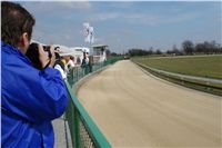 Greyhound_Race_Track_Praskacka_Ceska_greyhound_dostihova_federace_DSC02121.JPG