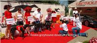 Greyhound_Race_Track_Praskacka_Ceska_greyhound_dostihova_federace_czech_derby_09-DSC05536.jpg