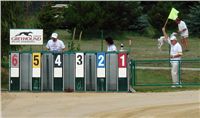 Greyhound_Race_Track_Praskacka_Ceska_greyhound_dostihova_federace_DSC06374.jpg