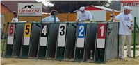 Greyhound_Race_Track_Praskacka_Ceska_greyhound_dostihova_federace_MVM_0311.jpg