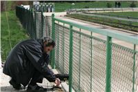 Photofinish_Czech_greyhound_race_track_Praskacka_NQ1M2640.JPG