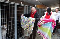 Racing_Paddock_Praskacka_IMG_4371_Czech_Greyhound_Racing.JPG