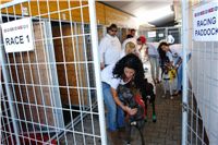 racing_paddock_Czech_Greyhound_Racing_Federation_Dsc03631.jpg