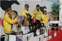 Dostihova_draha_chrtu_Praskacka_Ceska_greyhound_dostihova_fedeace_3.bmp