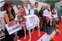 Dostihova_draha_chrtu_Praskacka_Ceska_greyhound_dostihova_fedeace_DSC09302.jpg