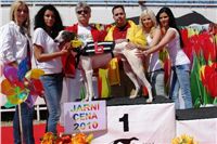 Dostihova_draha_chrtu_Praskacka_Ceska_greyhound_dostihova_fedeace_White_300m_DSC03716.JPG