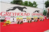 dekorovaci_prostor_Red_Mill_Cup_08_Ceska_greyhound_dostihova_federace_DSC02948.JPG