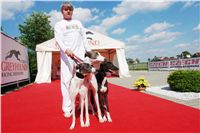 dekorovaci_prostor_Red_Mill_Cup_09_Ceska_greyhound_dostihova_federace_DSC02737.JPG