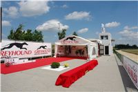 dekorovaci_prostor_Red_Mills_Cup_07_Ceska_greyhound_dostihova_federace_DSC01679.JPG