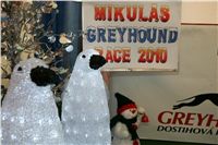 001_Mikulas_Greyhound_race_2010_chrti_dostihy_Ceske_greyhound_dostihove_federace_NQ1M0933.JPG