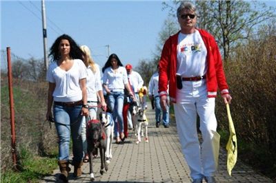 jarni_cena_2010_ceska_greyhound_dostihova_federace_parade_Dsc03654.jpg