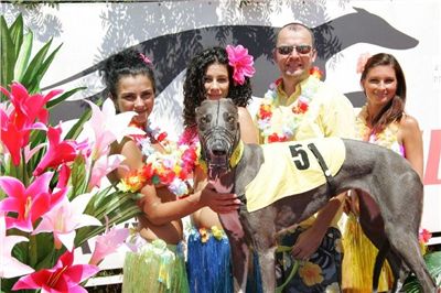 letni_cena_2010_ceska_greyhound_dostihova_federace_viola_NQ1M6025.JPG