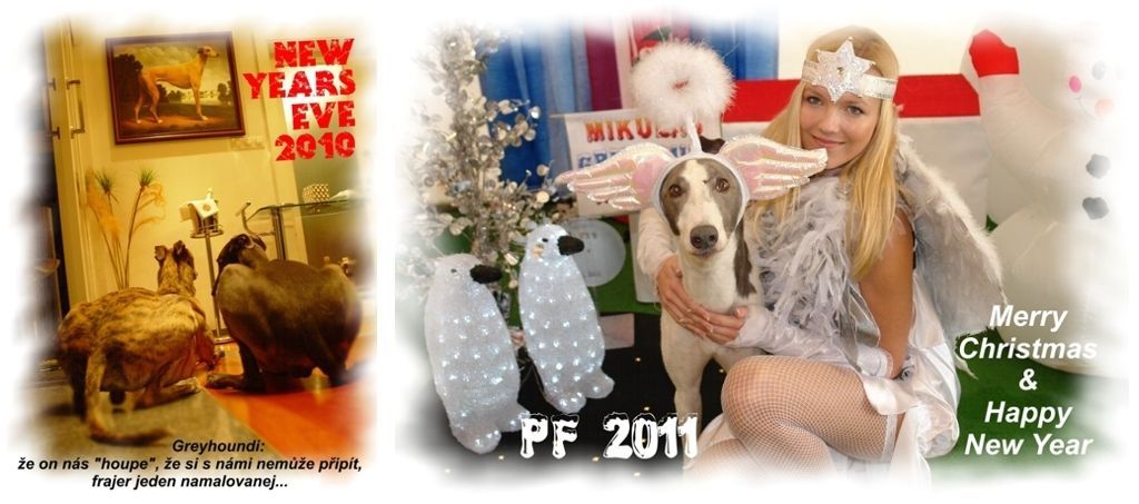PF_2011_Czech_Greyhound_racing_federation_Happy_New_Year_DSC04015-bordura.jpg