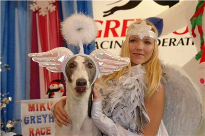 Mikulas_Greyhound_race_2010_chrti_dostihy_Ceske_greyhound_dostihove_federace_DSC04010.jpg