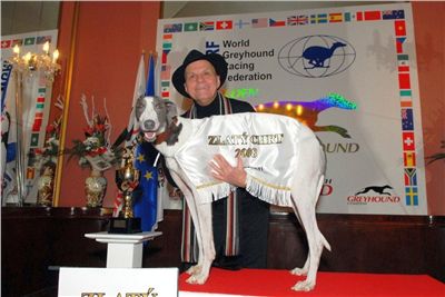 Zlaty_chrt_White_DSC_0136_preucil_Ceska_greyhound_dostihova_federace.jpg