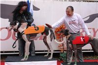 halloween-punk-rock-greyhound-race-czech-greyhound-racing-federation-DSC01792.JPG