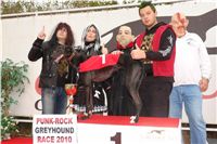 halloween-punk-rock-greyhound-race-czech-greyhound-racing-federation-DSC01807.JPG